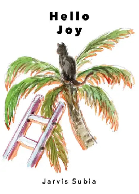 Hello Joy by Black Lawrence Press