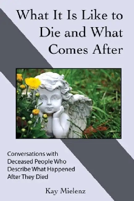 What It Is Like to Die and What Comes After: Conversations with Deceased People Who Describe What Happened After They Died by Kay Mielenz