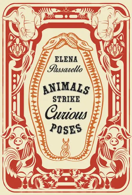 Animals Strike Curious Poses by Elena Passarello