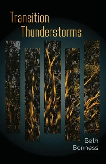 Transition Thunderstorms by Beth Bonness