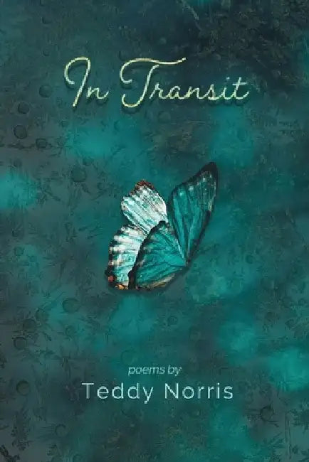 In Transit by Teddy Norris