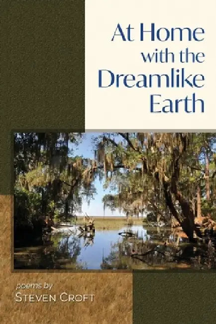 At Home with the Dreamlike Earth by Steven Croft