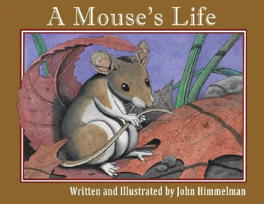 A Mouse's Life by John Himmelman