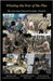 Winning the War of the Flea by Lefavor, Paul