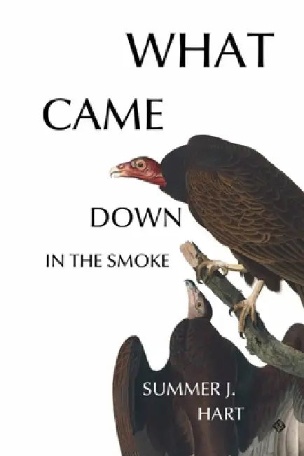 What Came Down in the Smoke by Summer J. Harris