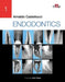 ENDODONTICS - 2 Volume Set by Arnaldo Castellucci
