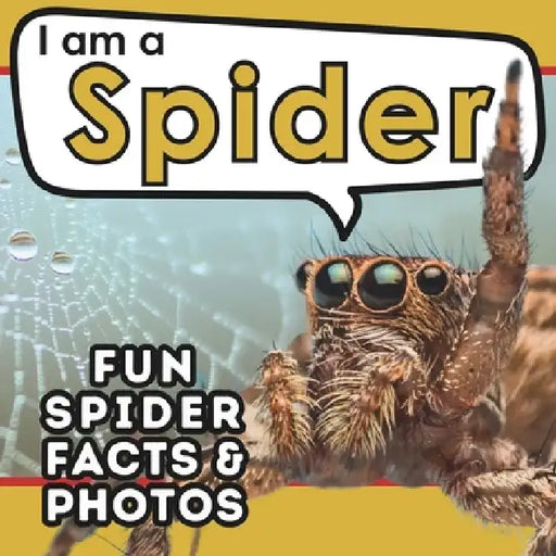 I am a Spider: A Children's Book with Fun and Educational Animal Facts with Real Photos! by Active Brains