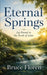 Eternal Springs: Joy Found in the Book of John by Bruce Floren