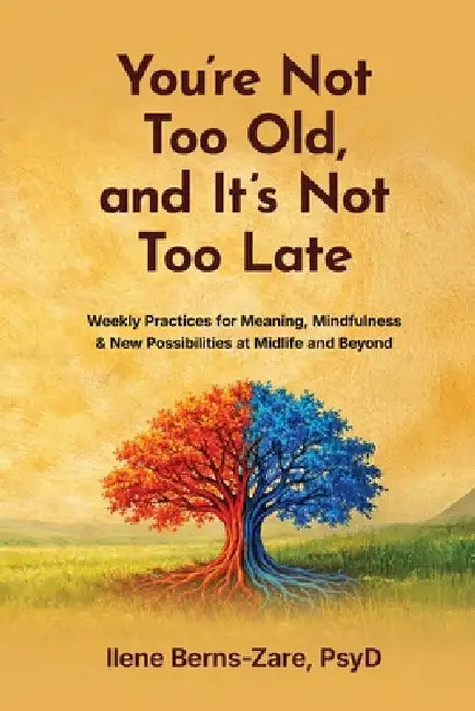 You're Not Too Old, and It's Not Too Late: Weekly Practices of Meaning, Mindfulness, and New Possibilities at Midlife and Beyond by Ilene Berns-Zare