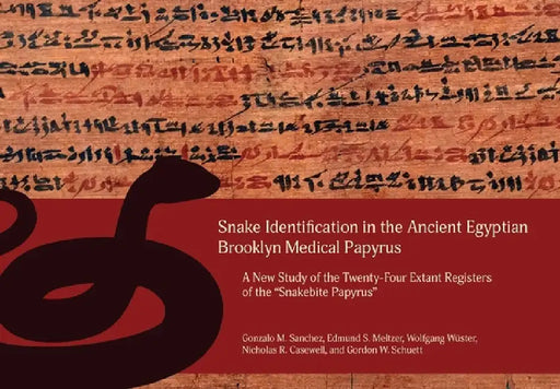 Babylonian Ceremonial Script in Its Scholarly Context by Carole Roche