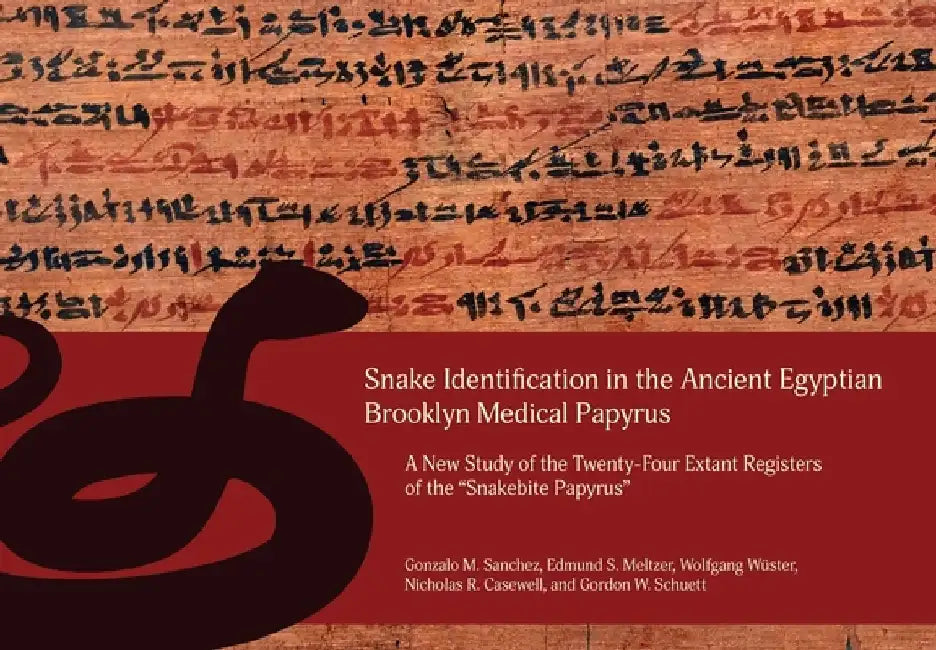 Babylonian Ceremonial Script in Its Scholarly Context by Carole Roche