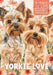 Yorkie Love 2025 Weekly Planner and Organizer by Nola Lee Kelsey