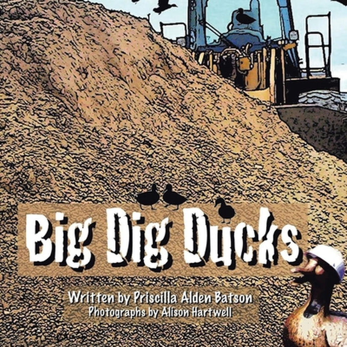 Big Dig Ducks by Priscilla Batson