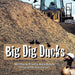 Big Dig Ducks by Priscilla Batson