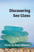 Discovering Sea Glass by Brian Mahoney