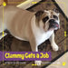 Clemmy Gets a Job by I. Caroline Crocker