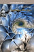 September Blue Jays by Hector Geager