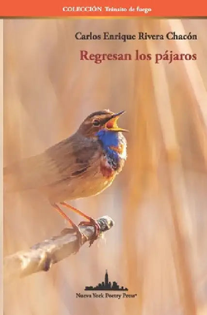 Regresan los pájaros by Rivera Chacón, Carlos Enrique