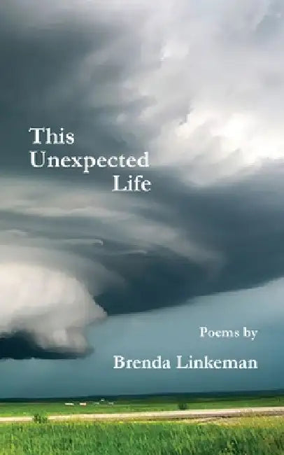 This Unexpected Life by Brenda Linkeman