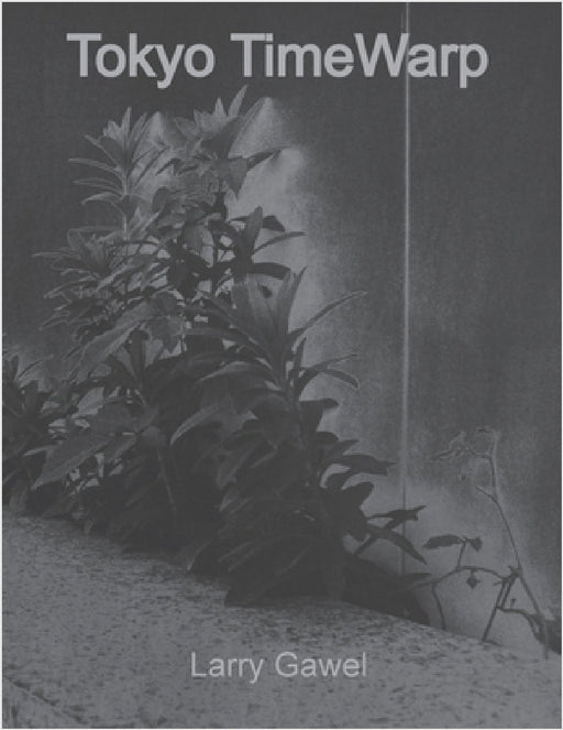 Tokyo TimeWarp by Larry Gawel