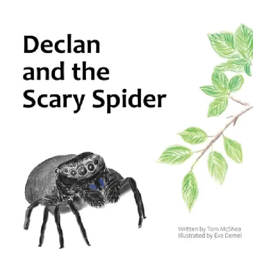 Declan and the Scary Spider by Tom McShea