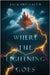 Where the Lightning Goes by Salem, Jackary