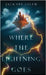 Where the Lightning Goes by Salem, Jackary