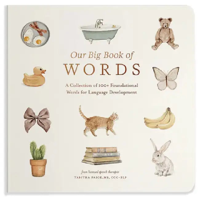 My First Book of Words: A Foundational Language Vocabulary Book of Colors, Numbers, Animals, Abcs, and More by Tabitha Paige