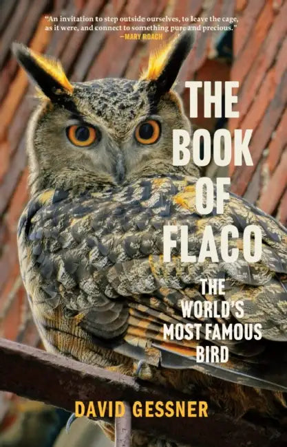 The Book of Flaco: The World's Most Famous Bird by David Gessner