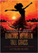 Dancing Between Tall Grass by Palmer, Ilis Trudie