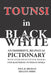 TOUNSI in BLACK and WHITE: An immersive, bilingual pictionary with over 800 duotone images for mastering Tunisian Derja. by Khaled Arres