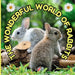 The Wonderful World of Rabbits: Interesting Facts About Rabbits by Mimi Jones