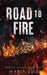 Road To Fire by Maria Luis