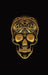 Glowing Golden Sugar Skeleton Skull Diary, Journal, and/or Notebook: Perfect for Fans of Astrology, Dark Magic, Fantasy, Halloween, Occult, Wicca, and by Mina Charles