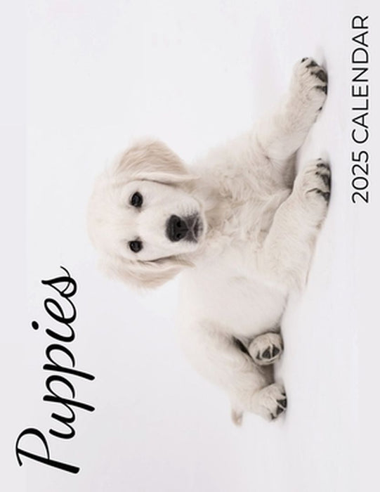 Puppies 2025 Calendar: 2025 Calendar by C. Maloney