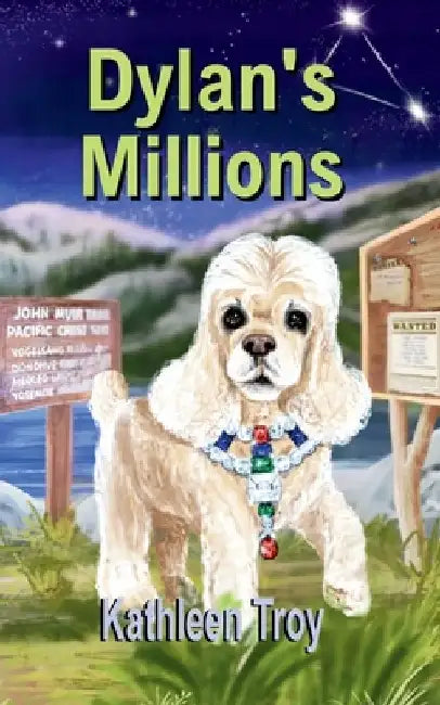 Dylan's Millions by Kathleen Troy