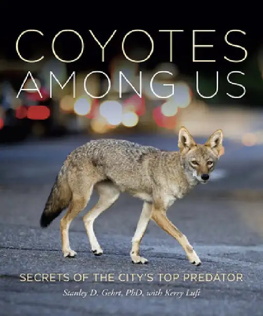 Living with Coyotes: Understanding the Ghost Dogs of Urban America