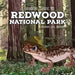 Redwood National Park: A Grande Guide by Sarah del Grande