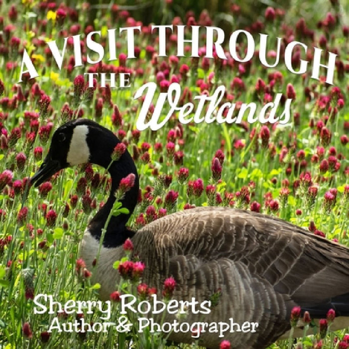 A Visit Through the Wetlands by Sherry Roberts