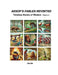 Aesop's Fables Revisited: Timeless Stories of Wisdom - Book 2 by Alavida D