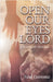 Open Our Eyes Lord: Bible Study and Devotional by Damsma, Paul
