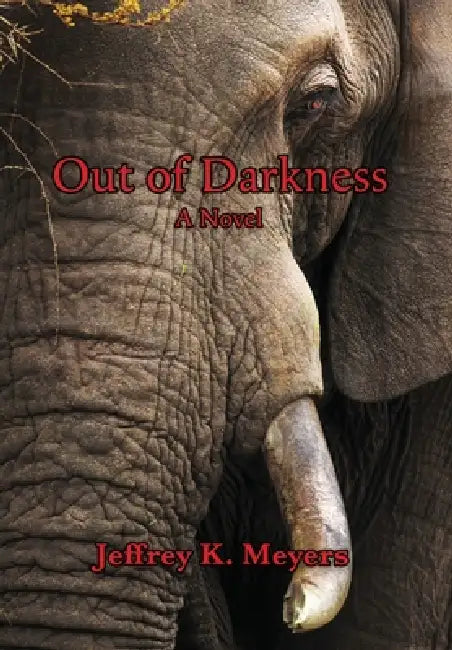 Out of Darkness by Jeffrey K. Meyers