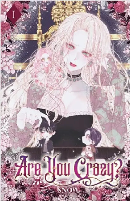 Are You Crazy?: Volume I (Light Novel) by Snow