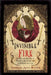 Invisible Fire: Traditional Themes in Western Mysticism and Sethian Gnosticism by Nicholaj De Mattos Frisvold