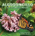 Algodoncillo by Jessica Vendetti