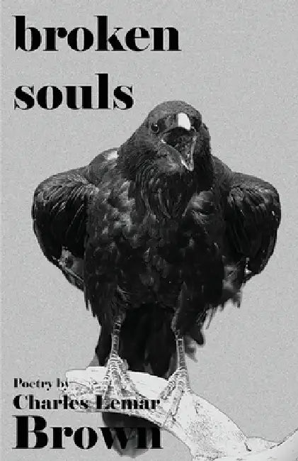 broken souls by Charles Lemar Brown