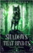 Shadows That Bind Us: Palisade Trilogy 1 by Werner, Amber L.