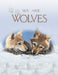 We Are Wolves by Molly Grooms