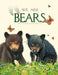 We Are Bears by Molly Grooms