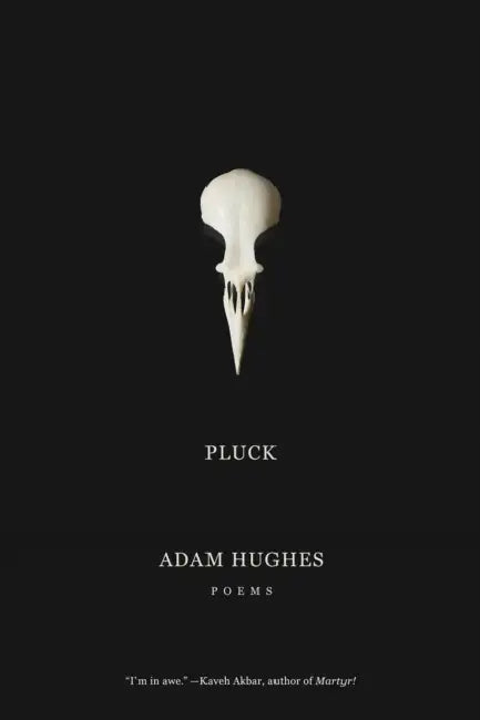 Pluck by Adam Hughes